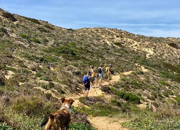 ヴィラ 4 Bed 4 Bathroom Quinta Da Boavista